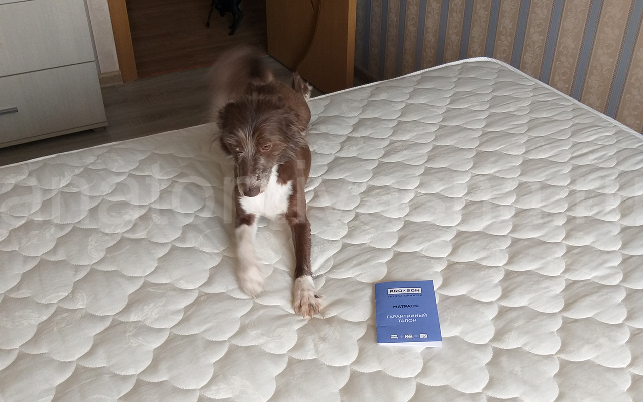отзыв о Матрас ProSon Twist Standart M фото 4
